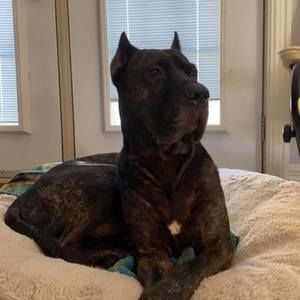 Meet your Posher, Timothy